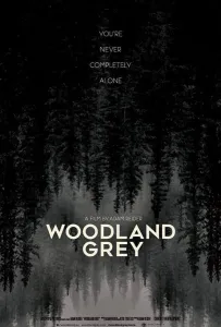 Серый лес (фильм 2022)