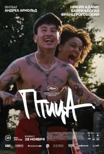 Птица (фильм 2024)