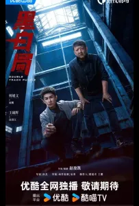 Развилка к правде / Игра в черное и белое / Чёрно-белое бюро (сериал 2025)